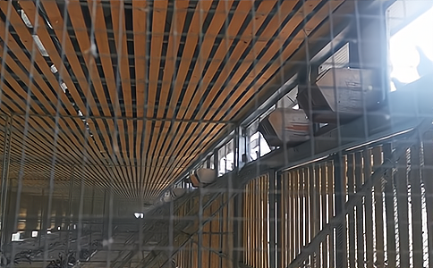 RFID阅读器和定制高频天线是如何在信鸽竞赛中发挥作用的